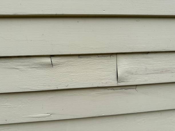 Best Engineered Wood Siding  in Golden Valley, AZ
